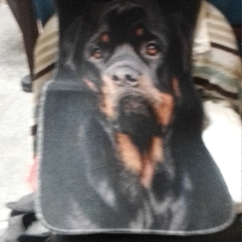 Rottweiler Car Floor mat
